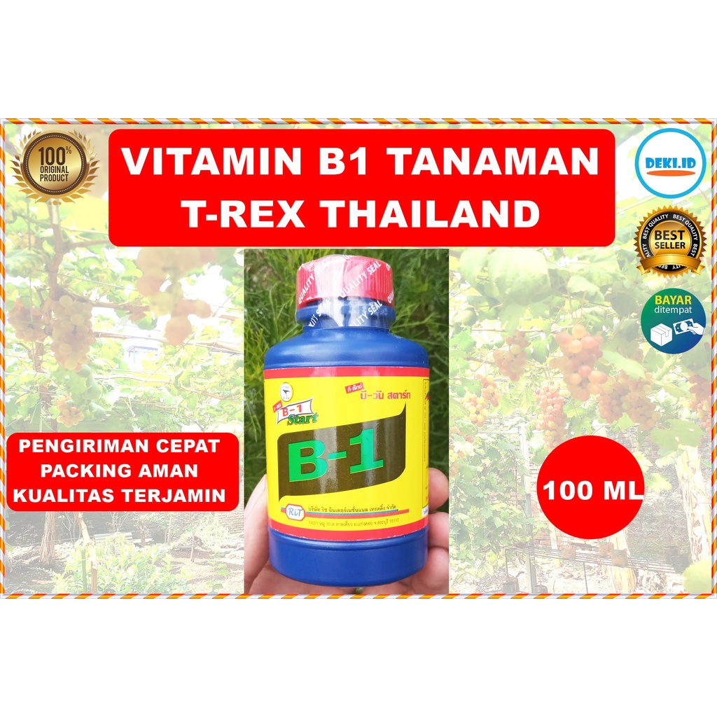 Jual Vitamin B Ml Thailand T Rex Asli Original Pupuk Cair Zpt