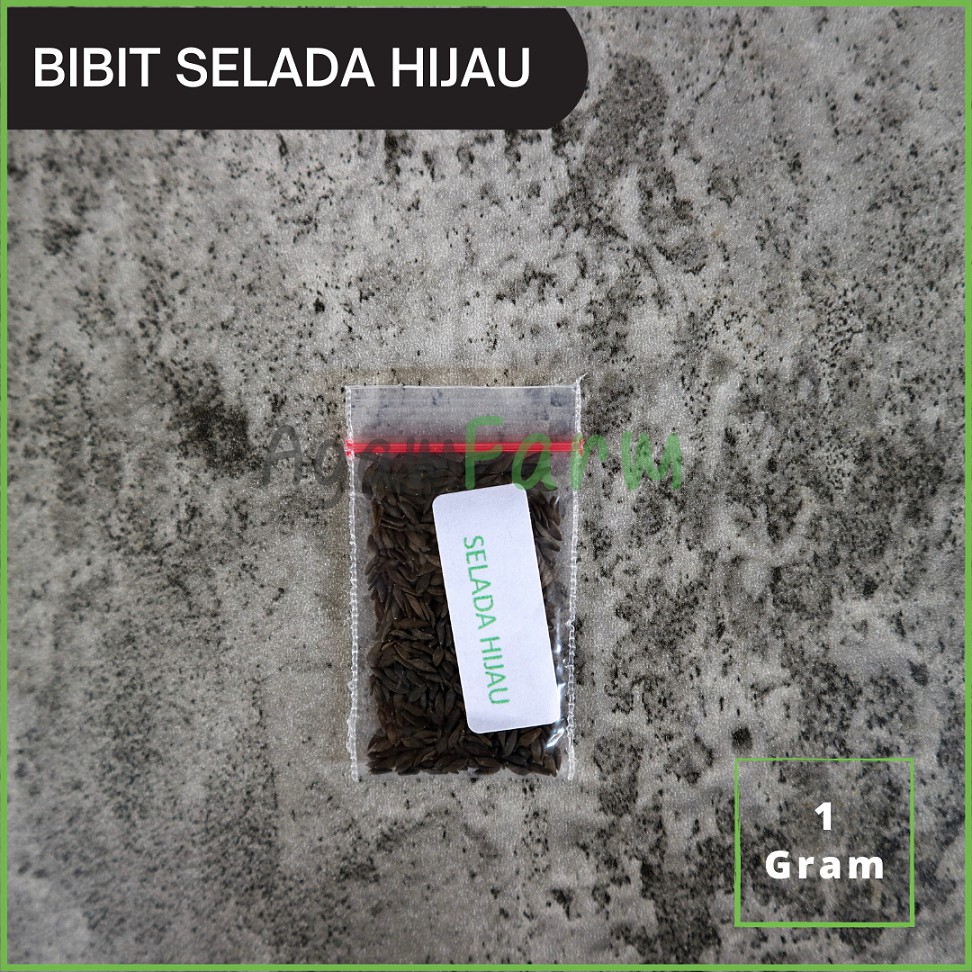 Jual Bibit Benih Selada Hijau 1Gram Shopee Indonesia