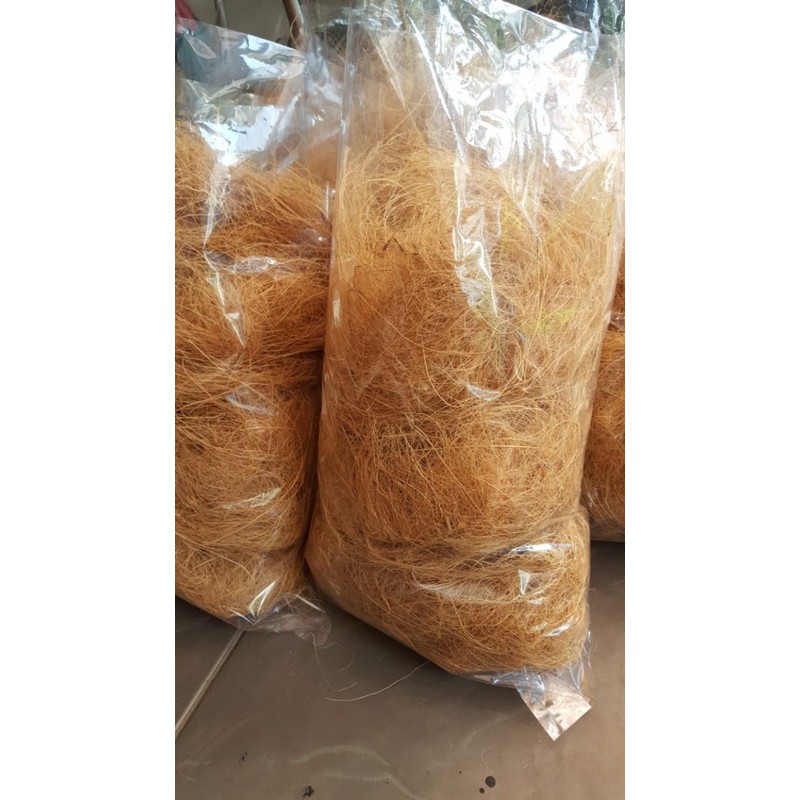 Jual Cocofiber Kg Sabut Kelapa Serabut Kelapa Super Media Tanam