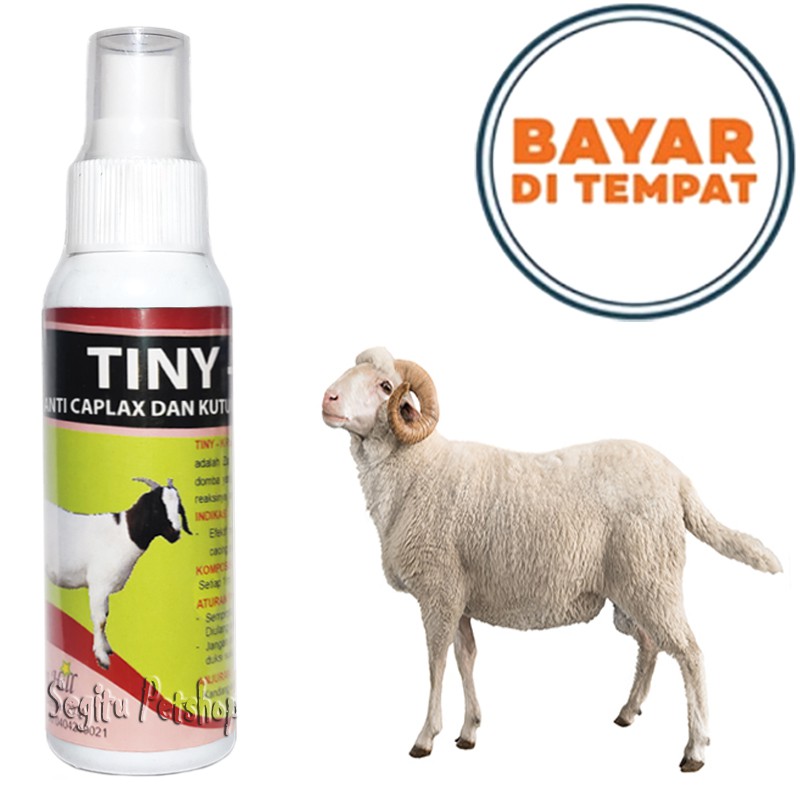 Jual OBAT KUTU KAMBING TERNAK PEMBASMI PARASIT CAPLAX TUNGAU TINY K