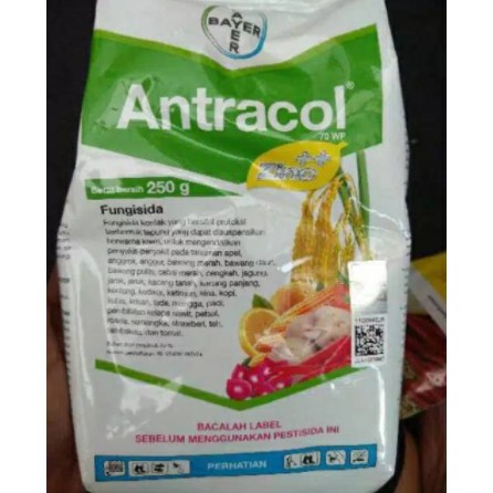 Jual Fungisida Antracol Wp Zinc Gram Shopee Indonesia