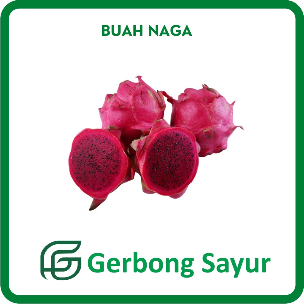 Jual Buah Naga Merah Segar Kg Shopee Indonesia