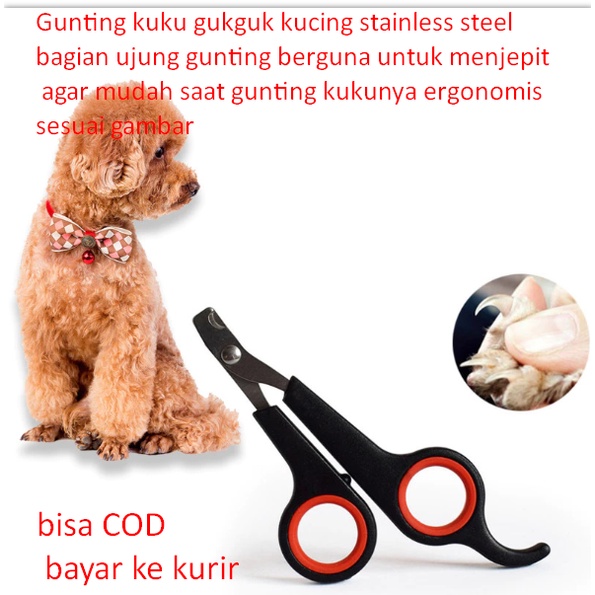 Jual Gunting Kuku Gukguk Kucing Stainless Steel Bagian Ujung Gunting