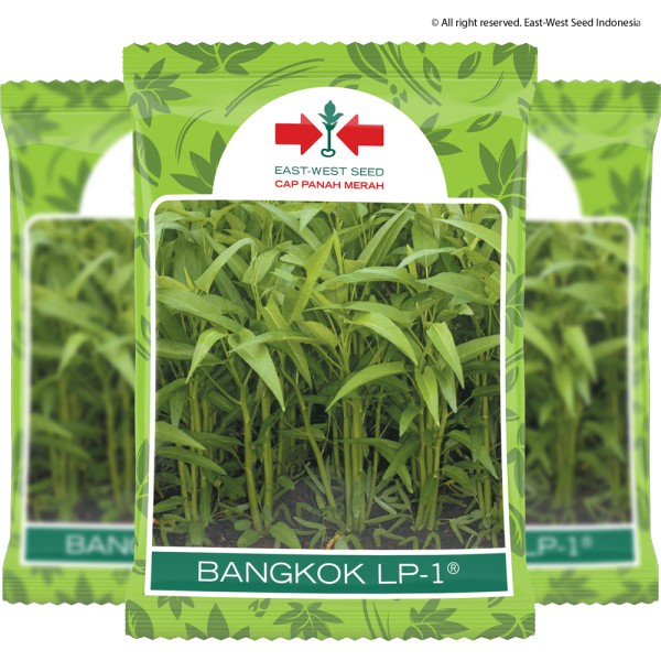 Jual Bibit Benih Kangkung Bangkok Lp Cap Panah Merah Kg Shopee