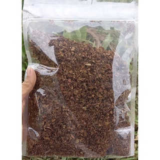 Jual Daun Kelor Kering 25gr Teh Daun Kelor Kualitas Bagus Shopee