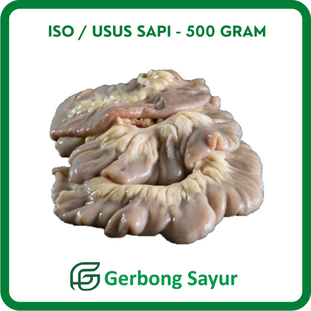 Jual Iso Usus Sapi Segar Gram Shopee Indonesia