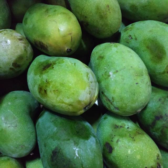 Jual Mangga Harum Manis 1kg Shopee Indonesia