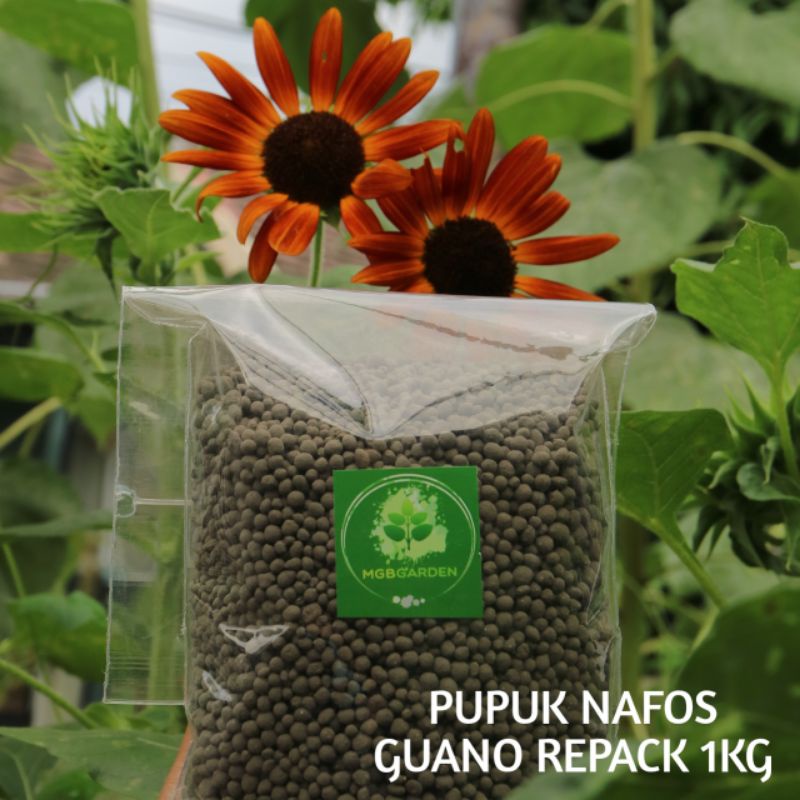 Jual Pupuk Organik Granule Nafos Guano Kemasan Repack Kg Shopee