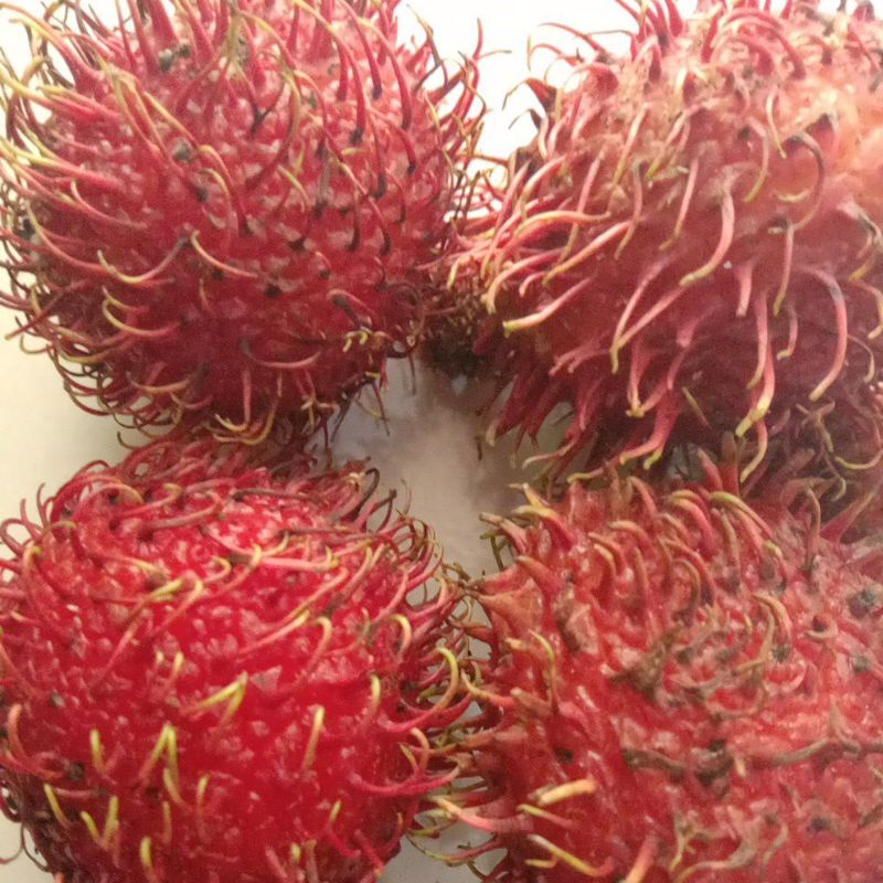 Jual Rambutan Manis Murah Shopee Indonesia