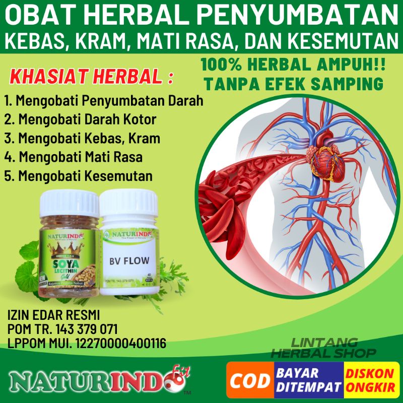 Jual Obat Penyumbatan Pembuluh Darah Herbal Memperlancar Peredaran