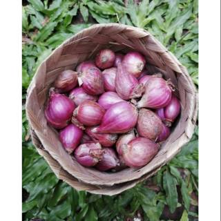 Jual Gudang Sayur Bawang Merah Brebes Gram Indonesia Shopee Indonesia