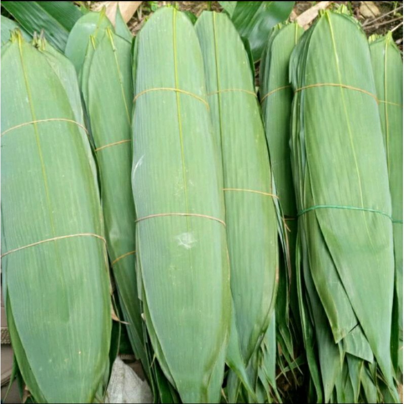 Jual Daun Bambu Segar 150 Lembar DAUN BAMBU BUNGKUS BACANG Shopee