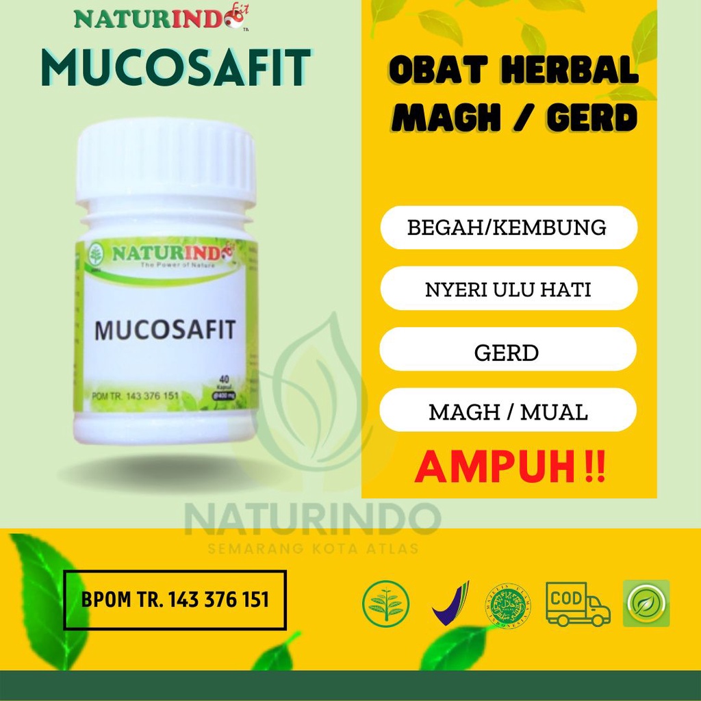 Jual Naturindo Mucosafit Obat Herbal Asam Lambung Magh Maag Kronis Gerd