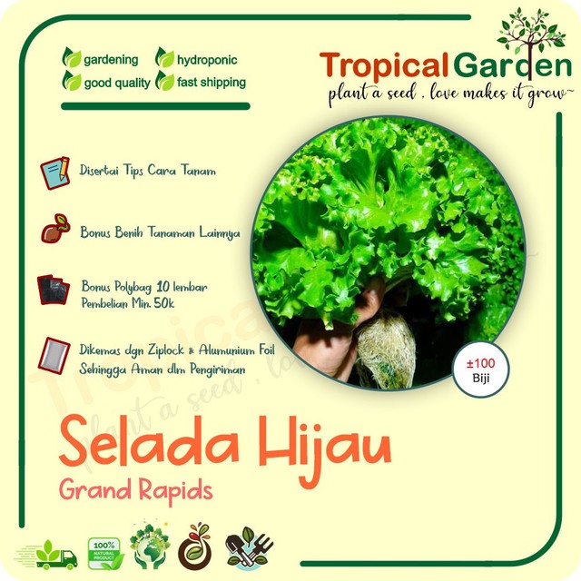 Jual Tropical Garden Benih Selada Hijau Grand Rapids Biji Selada Unggul