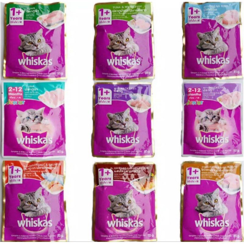 Jual Whiskas Pouch Adult Junior All Variant Shopee Indonesia