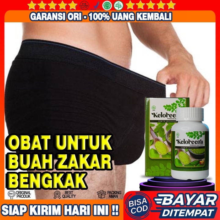 Jual Obat Buah Zakar Bengkak Sebelah Testis Nyeri Testis Bengkak