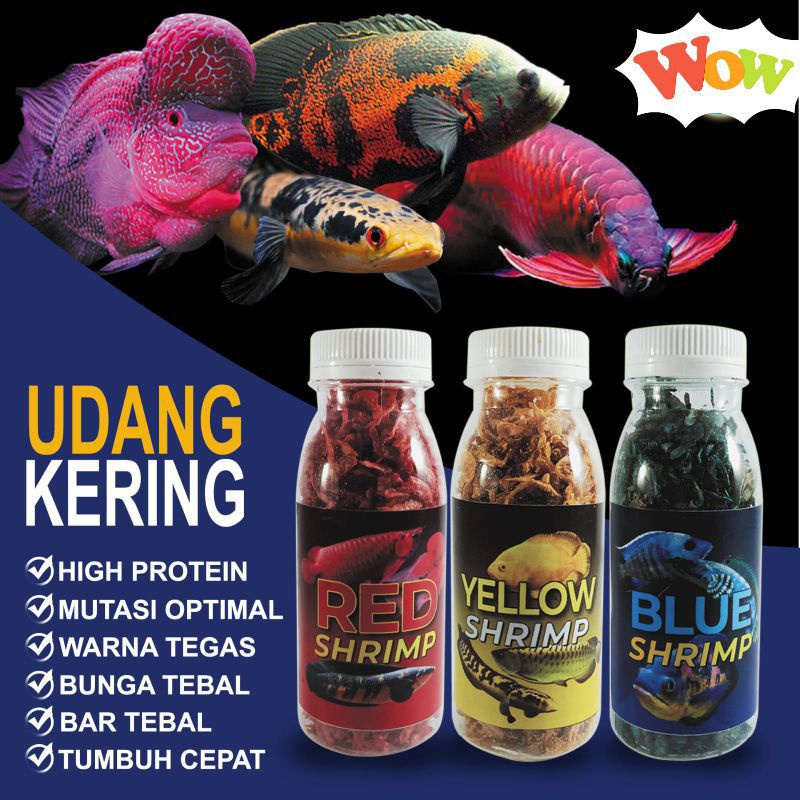 Jual Udang Kering Pakan Ikan Predator Channa Yellow Sentarum Marru Blue