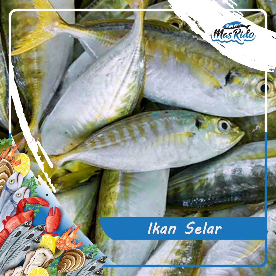 Jual Ikan Selar Segar Frozen Food Kwalitas Premium Harga Murah Shopee