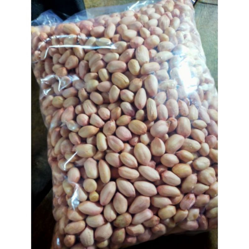 Jual PROMOO 1 KG BENIH KACANG TANAH SUPER VARIETAS GAJAH Indonesia