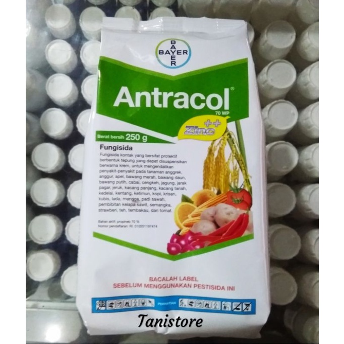 Jual Antracol Wp Zinc Isi Gr Shopee Indonesia