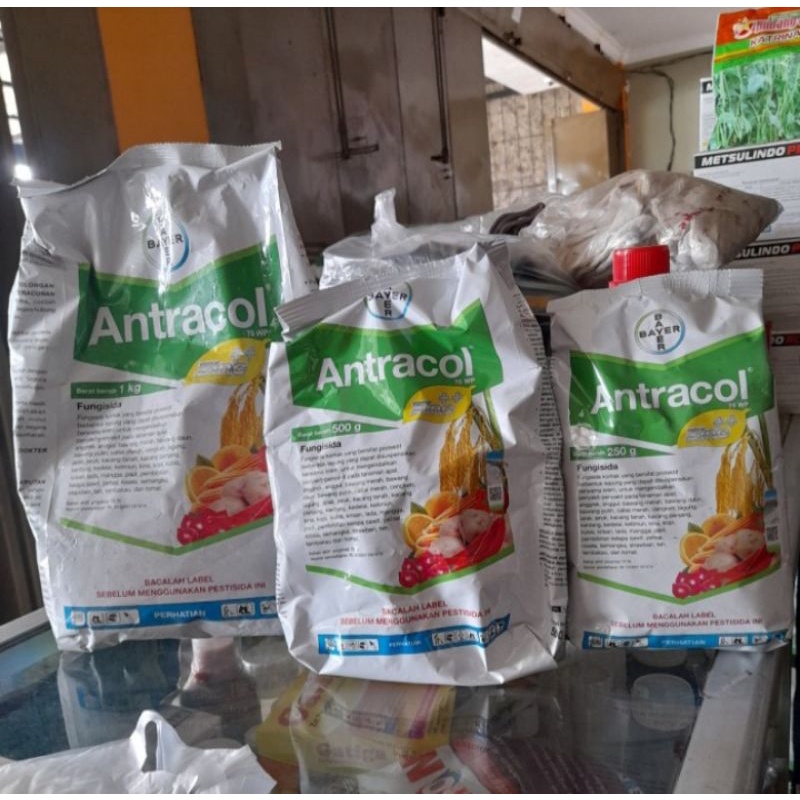 Jual Fungisida Antracol Wp Bayer Pengendali Penyakit Tanaman Shopee