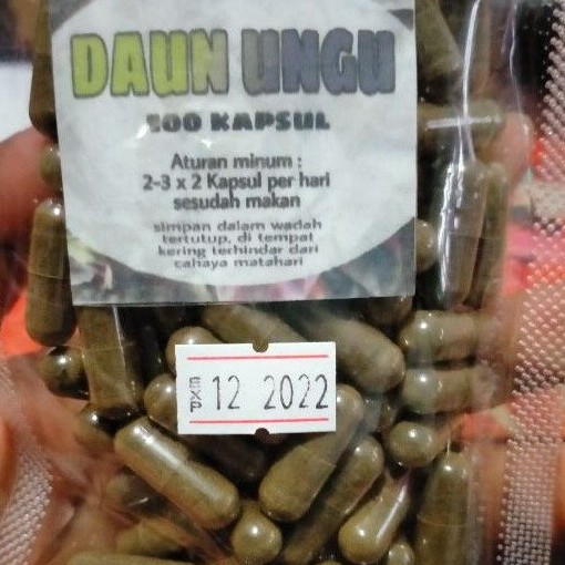 Jual JAMU OBAT WASIR DAN VARISES DAUN UNGU 100 KAPSUL Shopee Indonesia