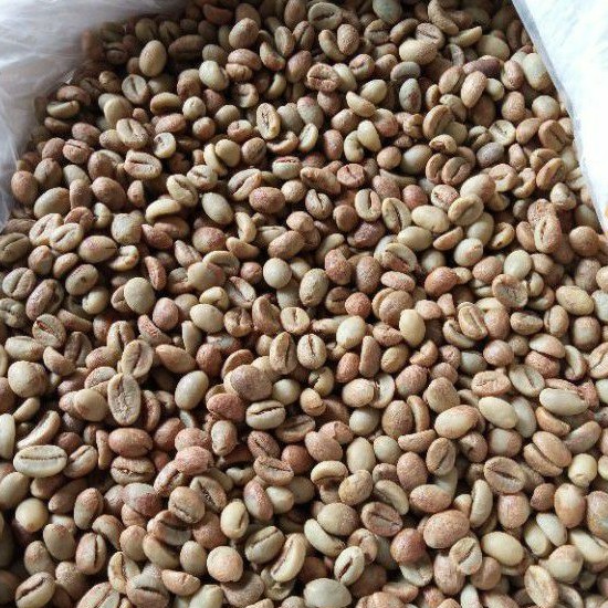 Jual GREANBEAN ROBUSTA LAMPUNG PETIK MERAH 1 2 Kg Natural Proces