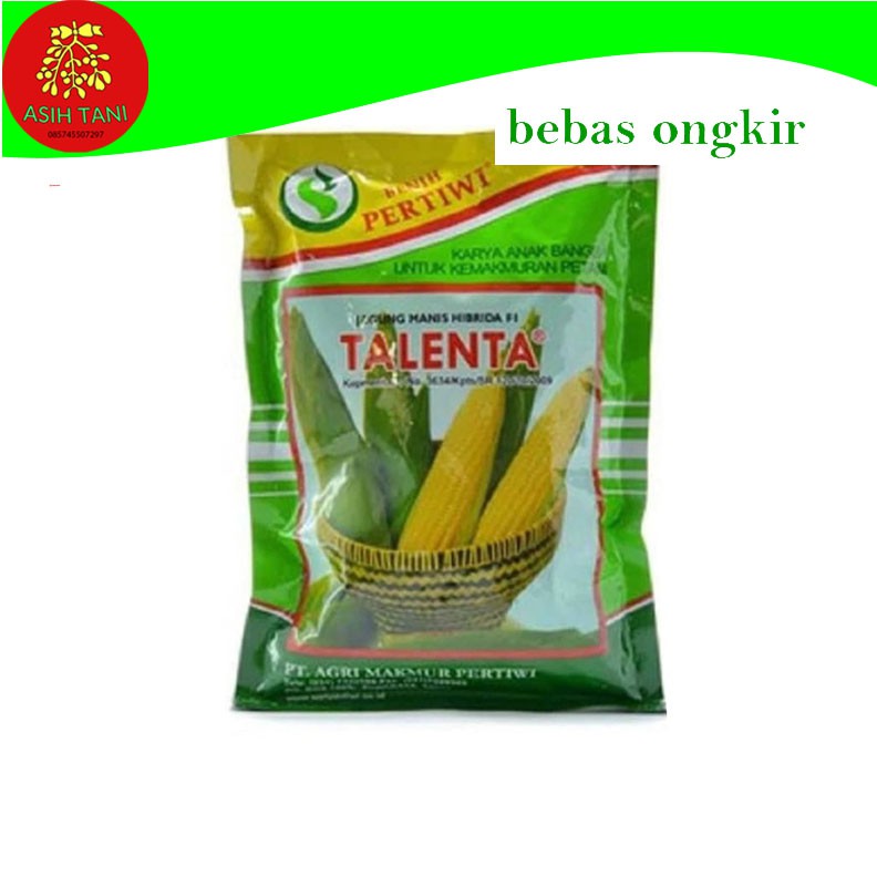 Jual Benih Bibit Tanaman Jagung Manis Hibrida F Talenta Berat Gram