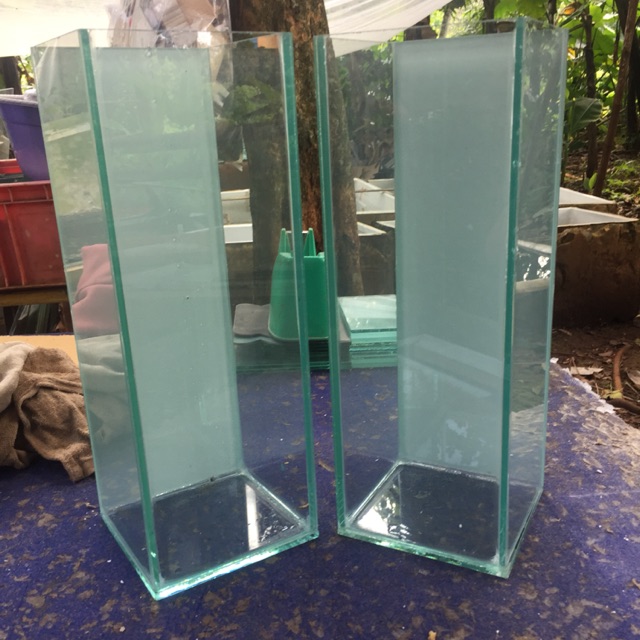 Jual Soliter Ikan Cupang 12x12x35 Soliter Cupang Soliter Selfie