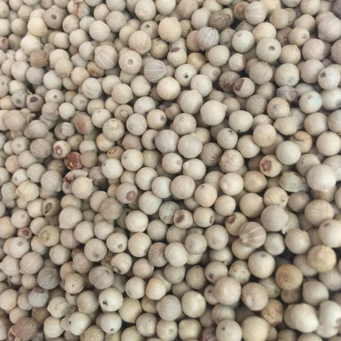 Jual White Pepper Whole 1kg Lada Putih Utuh Merica Putih Biji