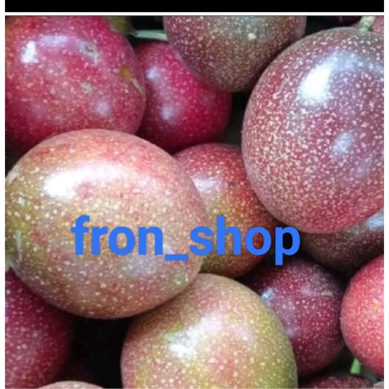 Jual BUAH MARKISA UNGU SEGAR 1KG LANGSUNG PETIK PROMO Shopee