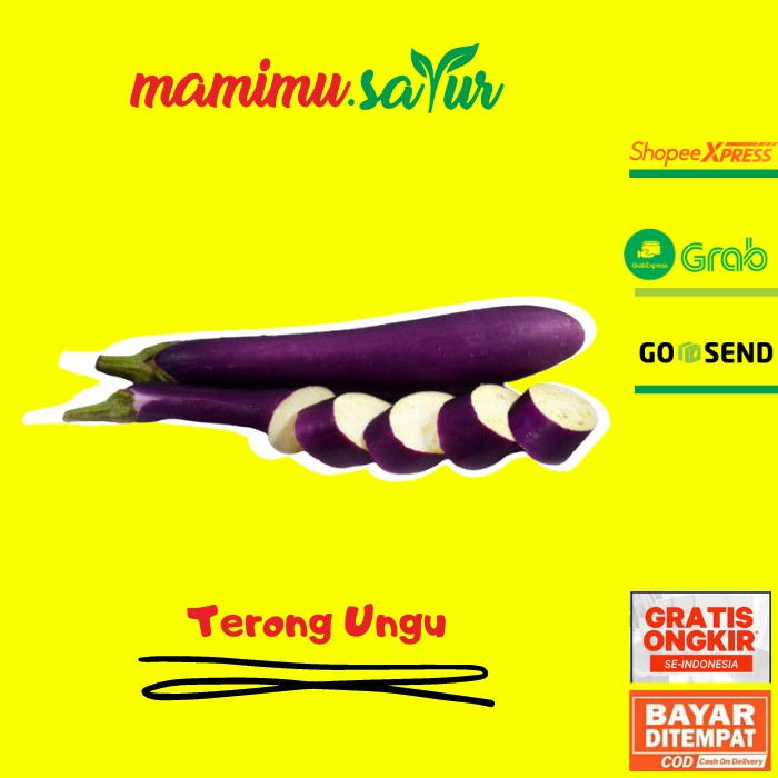 Jual Terong Ungu Terung Eggplant Ungu Sayur Sayuran Segar Fresh Pasar