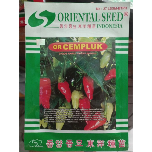 Jual Benih Cabai Rawit Or Cempluk Gr Oriental Seed Shopee Indonesia