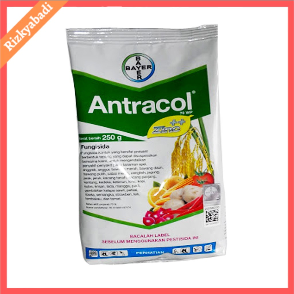 Jual Fungisida Antracol Wp Zinc Gr Shopee Indonesia