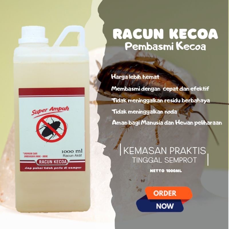 Jual RACUN PEMBASMI KECOA OBAT ANTI KECOA KECOAK PENGUSIR KECOA KECOAK