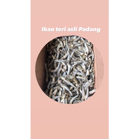 Jual Ikan Kering Teri Asli Padang Shopee Indonesia