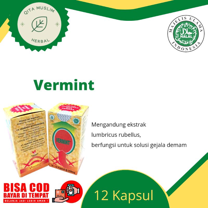 Jual Vermint Obat Tipes Tipus Isi Kapsul Mg Shopee Indonesia