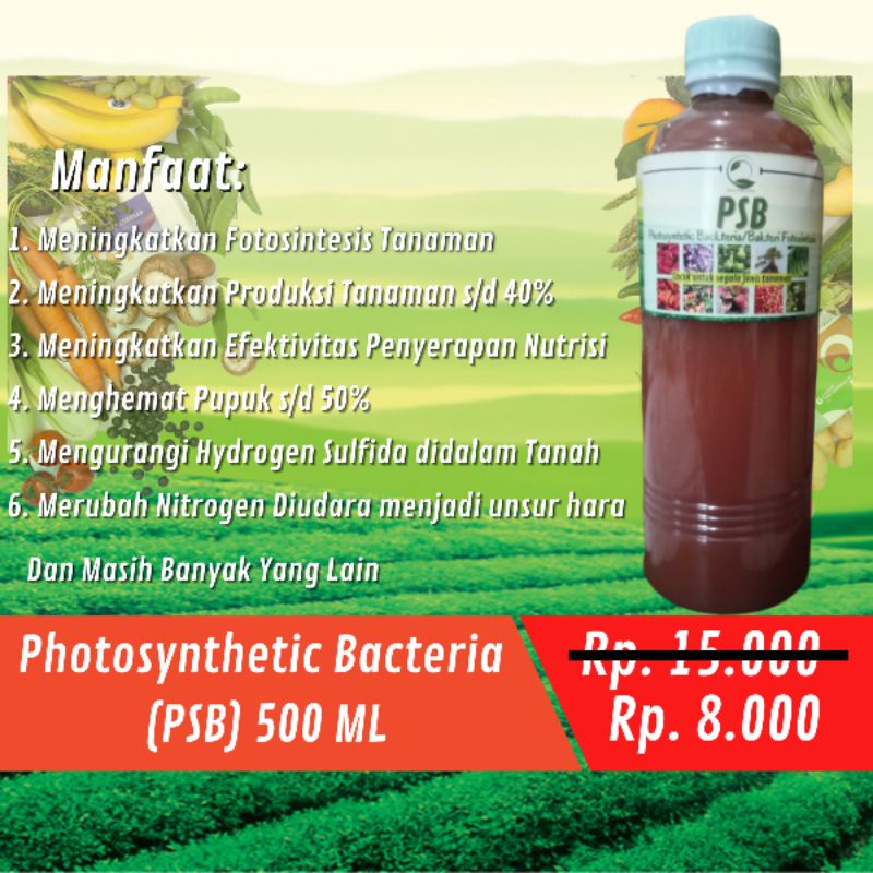 Jual Pupuk Organik Cair Poc Daun Psb Bakteri Fotosintesis Ml