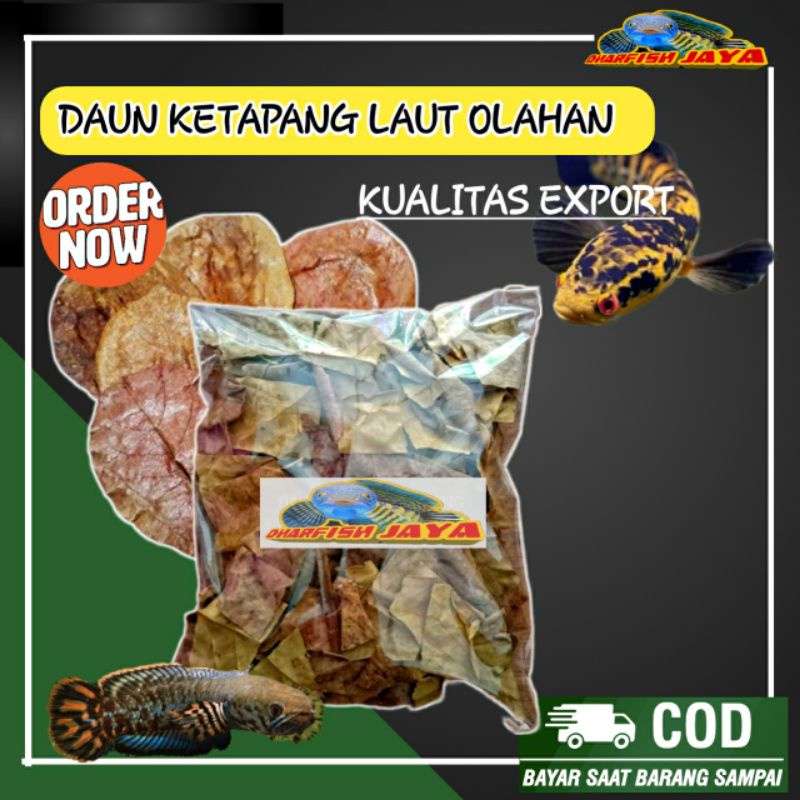 Jual DAUN KETAPANG UNTUK IKAN DAUN KETAPANG LAUT DAUN KETAPANG OLAHAN