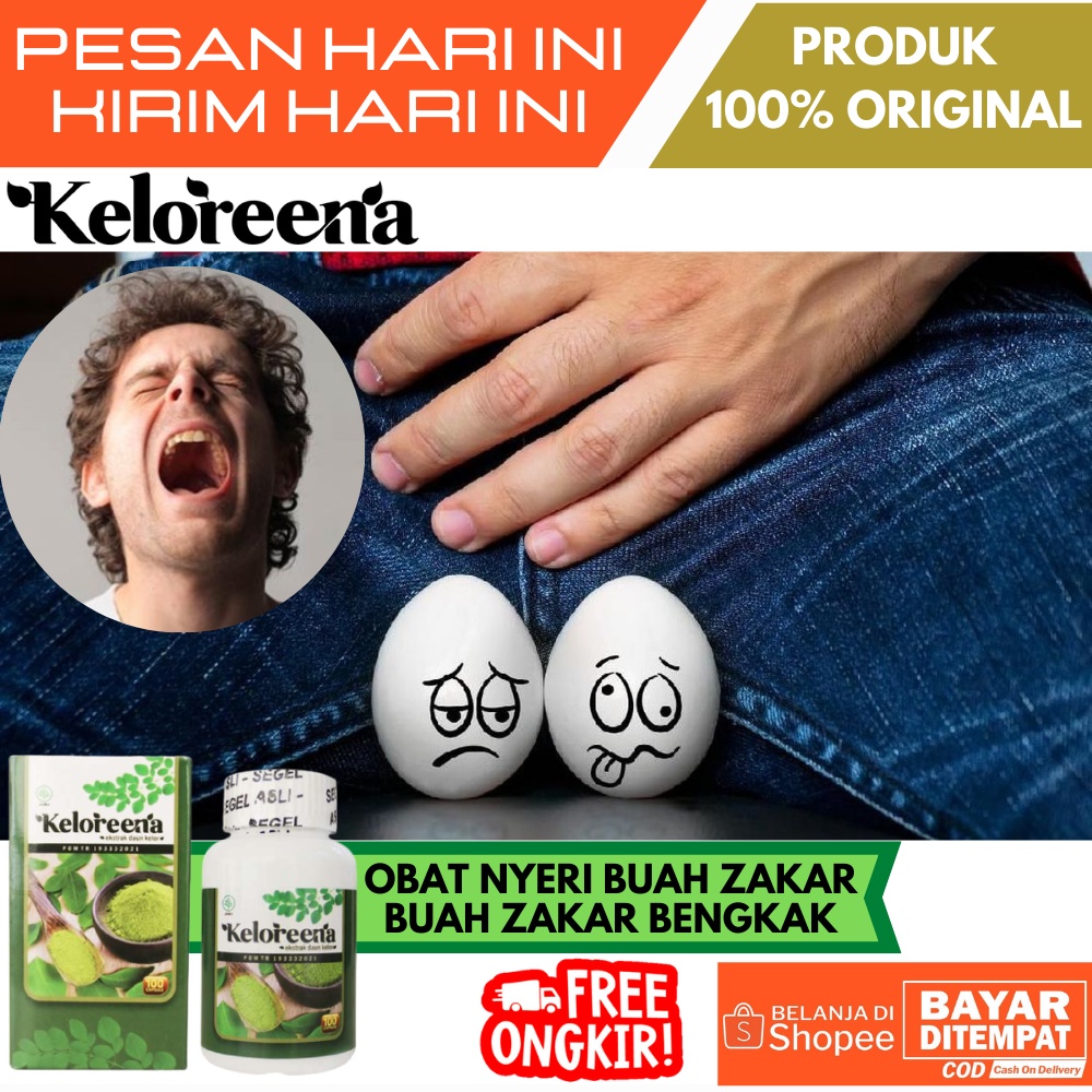 Jual Obat Herbal Nyeri Biji Pelir Varikokel Testis Bengkak Hernia