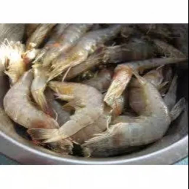 Jual Udang Segar Ukuran Sedang Gram Kg Shopee Indonesia