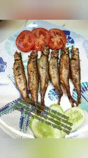 Jual Ikan Capelin Shisamo Fish Ikan Telur Halal Egg Fish Roe Omega