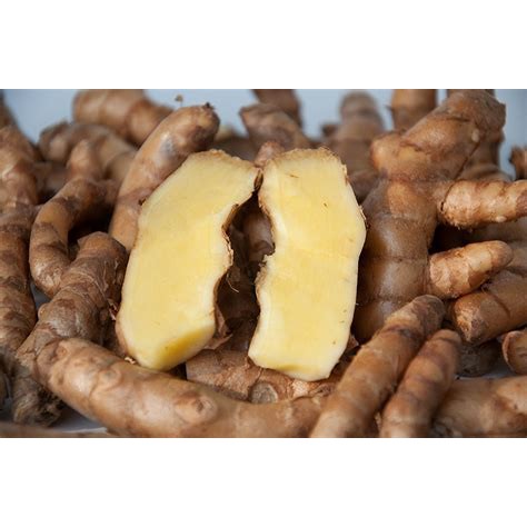 Jual Kunyit Putih Segar Fresh Curcuma Zedoaria 1kg Shopee Indonesia