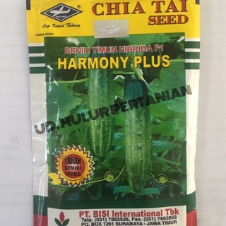 Jual Benih Timun Mentimun Ketimun Hibrida F Harmony Plus Gram