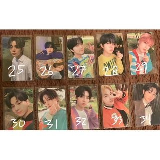 Jual ENHYPEN OFFICIAL PHOTOCARDS PC BENE TAMED DASHED SEASONS