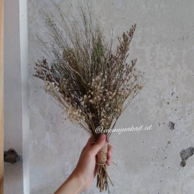 Bucket Bunga Dried Flower Handbouquet Lamaran Prewedding Pernikahan