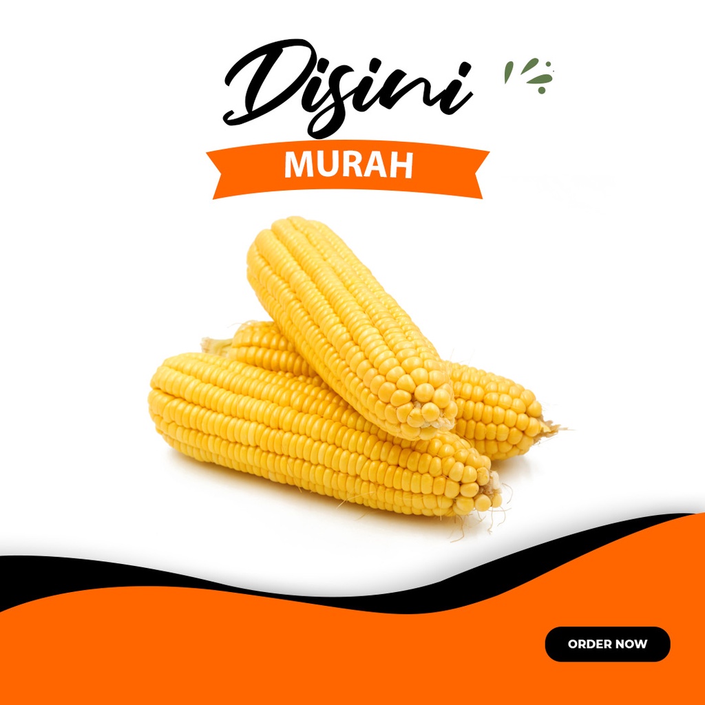 Jual Jagung Manis Kupas Per Kg Shopee Indonesia