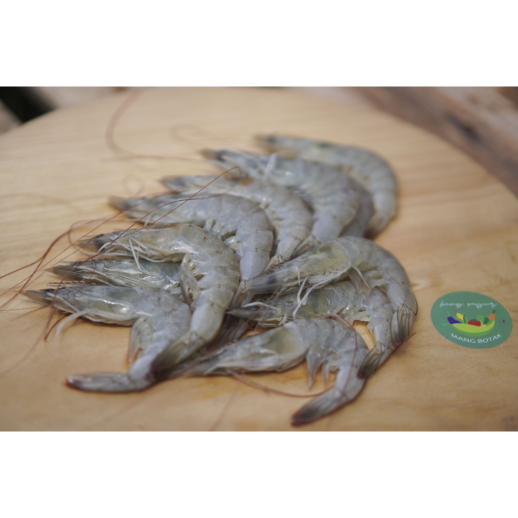 Jual Udang Vaname Segar Ukuran Sedang 6 7 Cm Shopee Indonesia