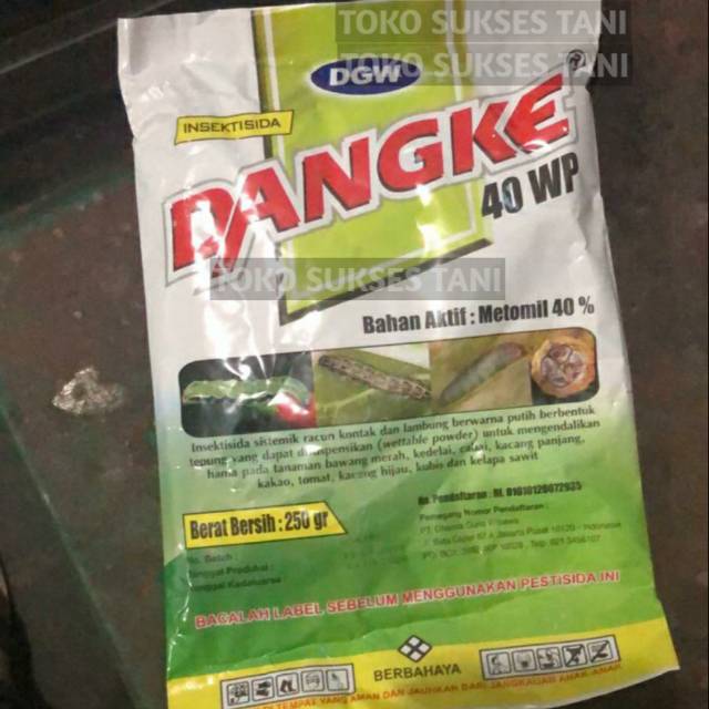 Jual Insektisida Sistemik DANGKE 40 WP Dari DGW Isi 250gram Shopee