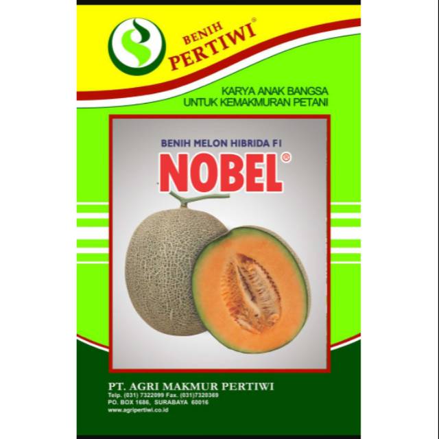 Jual BENIH MELON NOBEL DAGING KUNING KULIT HIJAU MANISNYA MANTAP Netto